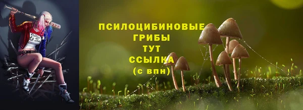 бошки Мегион
