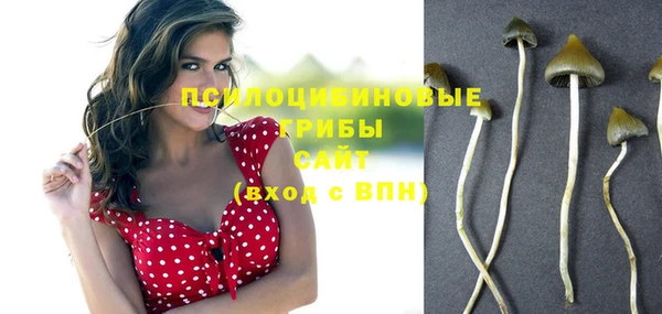 спиды Медногорск