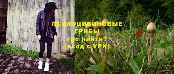 бошки Мегион