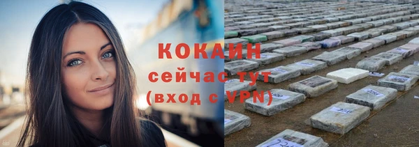бошки Мегион